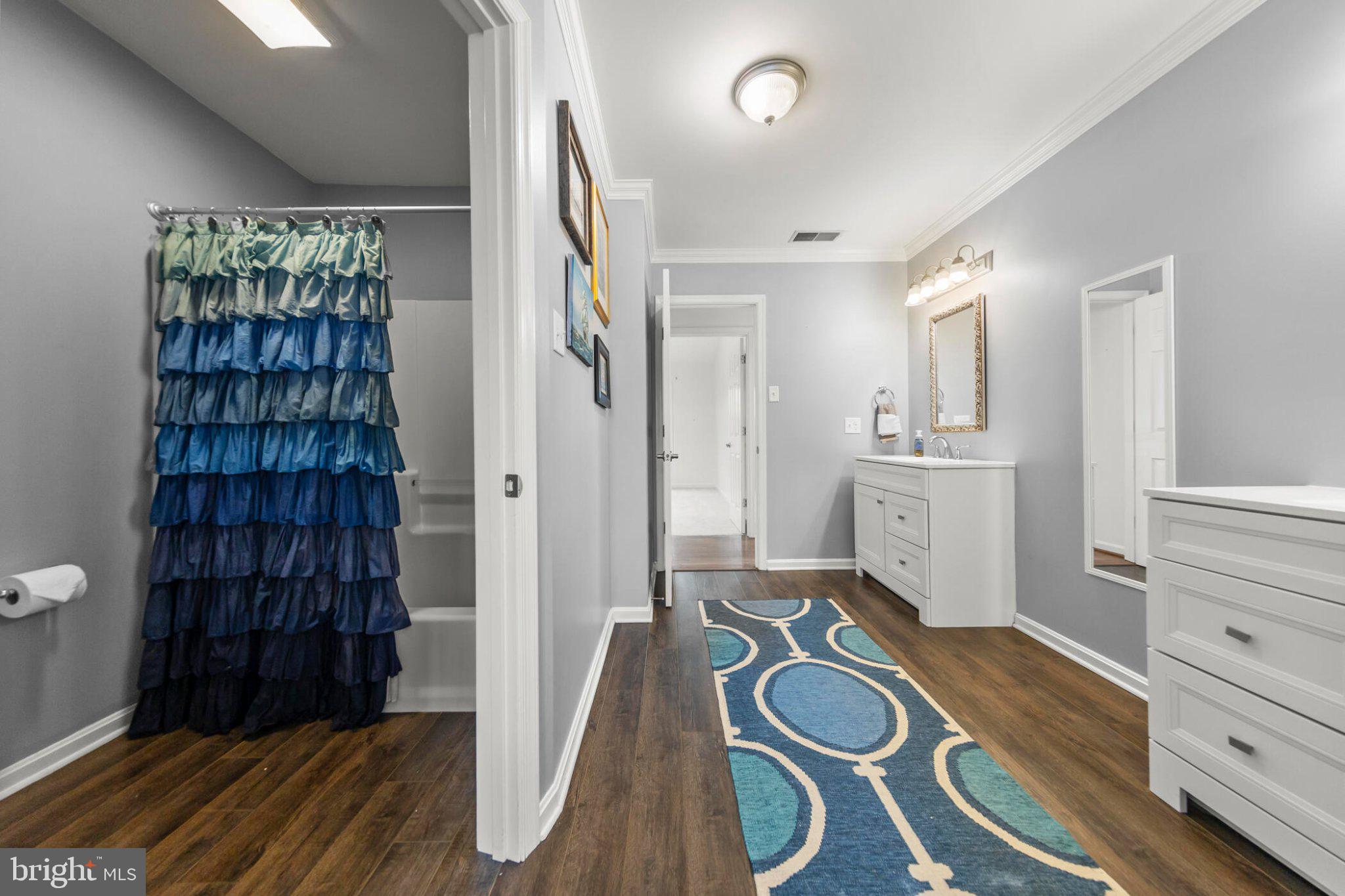 448 Adams Road Winchester, VA 22603 - Photo 23 of 96 Charming bathroom with vibrant accents.