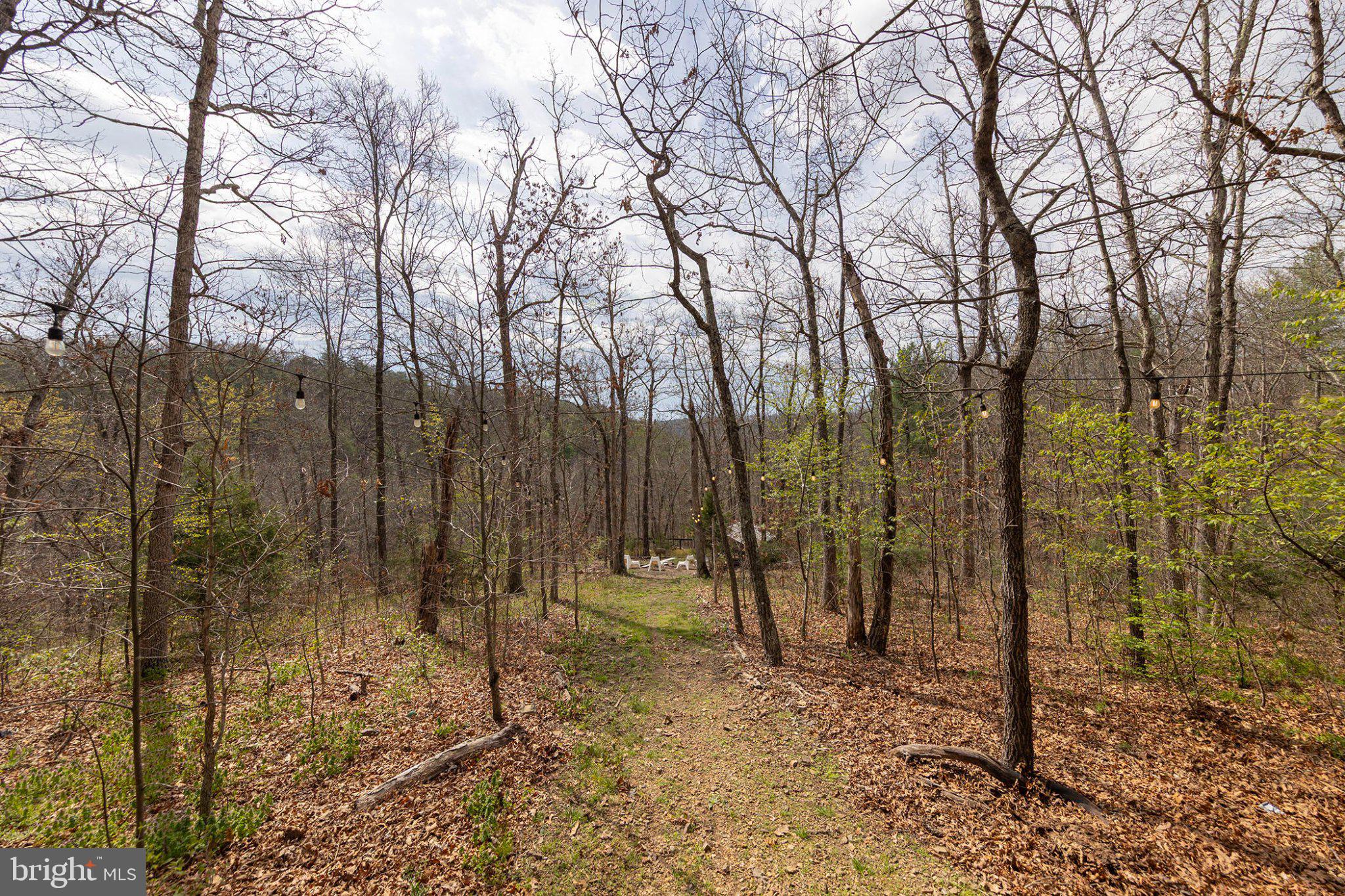 448 Adams Road Winchester, VA 22603 - Photo 40 of 96 Serene woodland path awaits exploration.