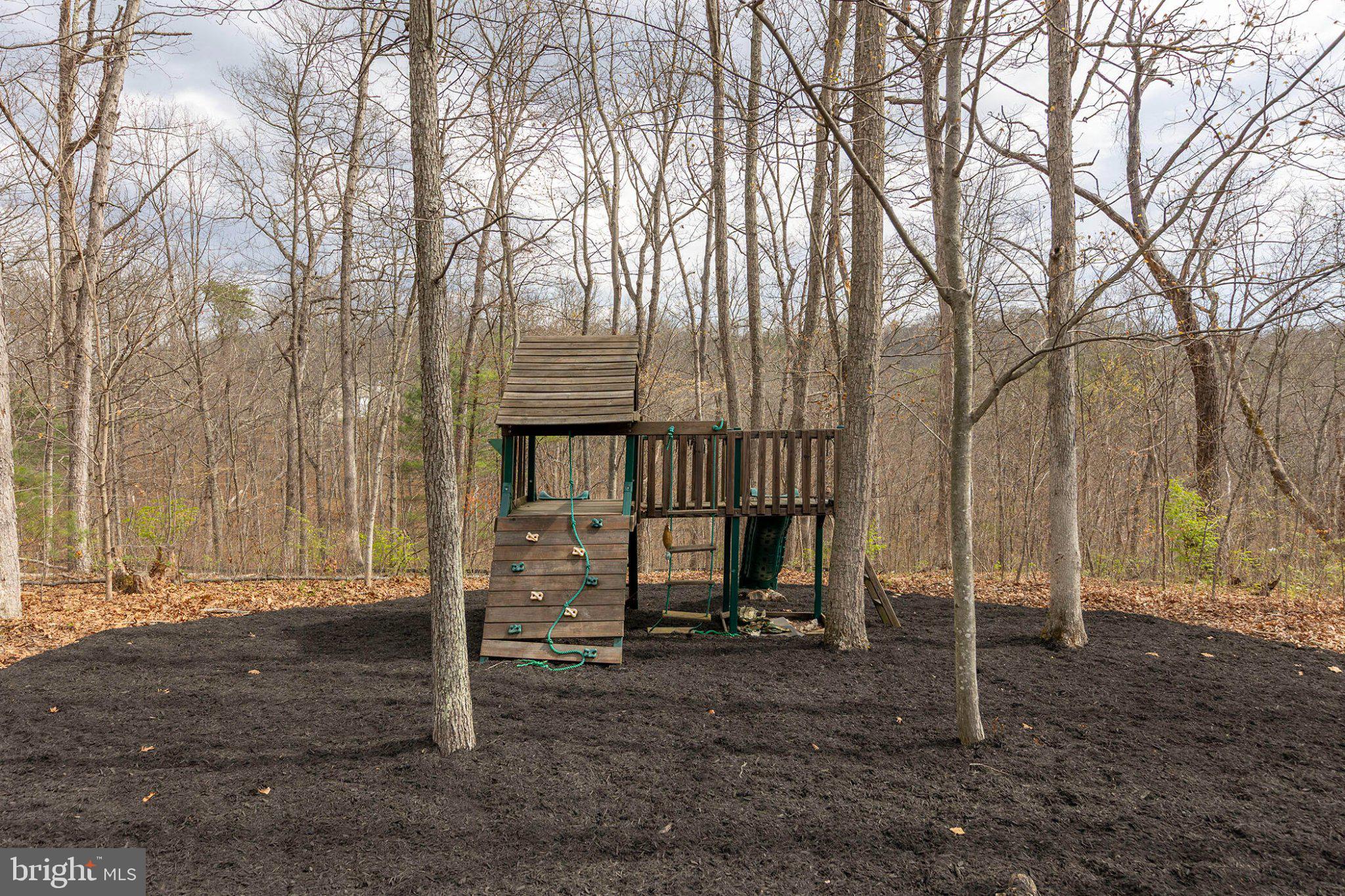 448 Adams Road Winchester, VA 22603 - Photo 44 of 96 Secluded playset in tranquil woods.