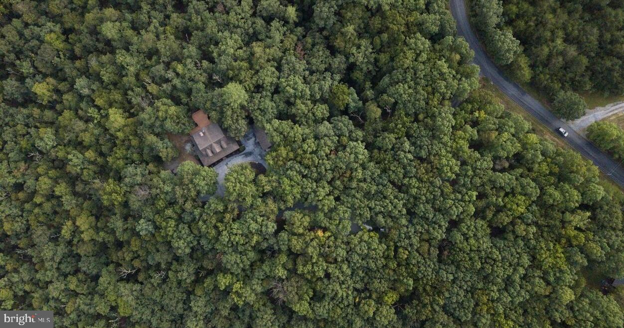 448 Adams Road Winchester, VA 22603 - Photo 49 of 96 Secluded retreat amidst lush greenery.