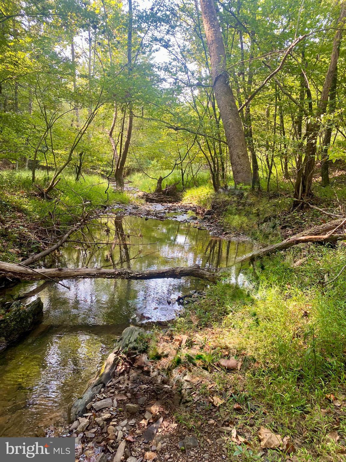 448 Adams Road Winchester, VA 22603 - Photo 91 of 96