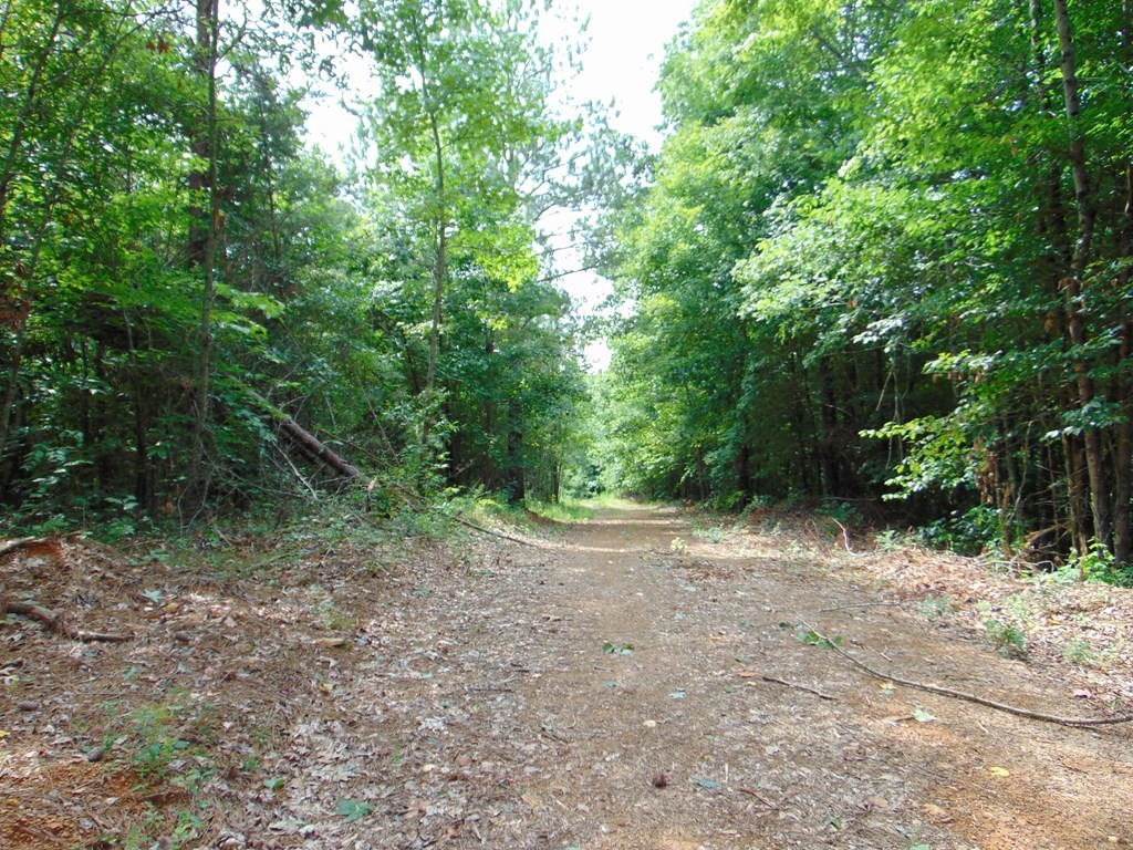 0 Pinhook Road Delano, TN 37325 - Photo 5 of 35