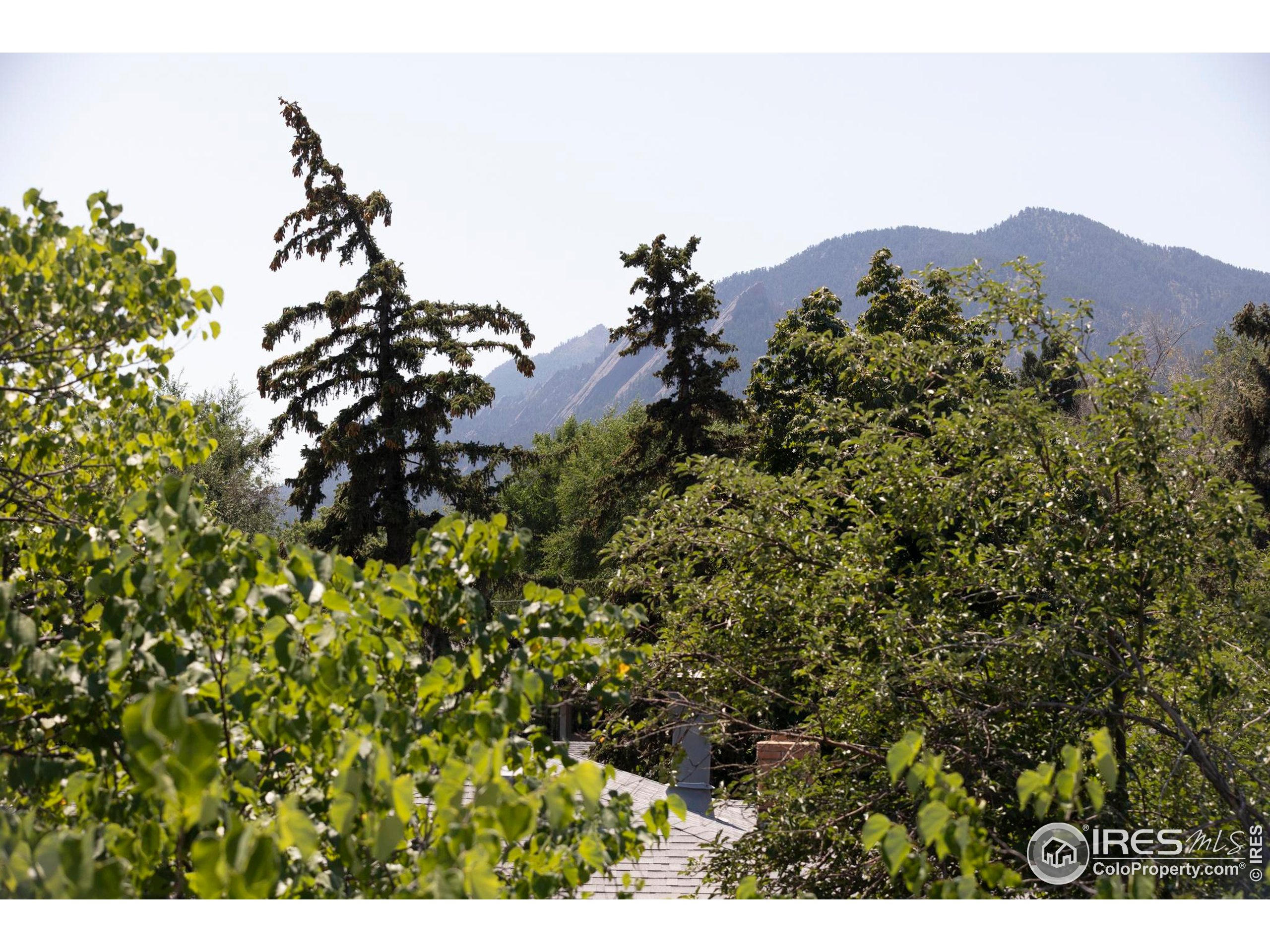 2670 6th Street Boulder, CO 80304 - Photo 29 of 30 a view of a tree in a field