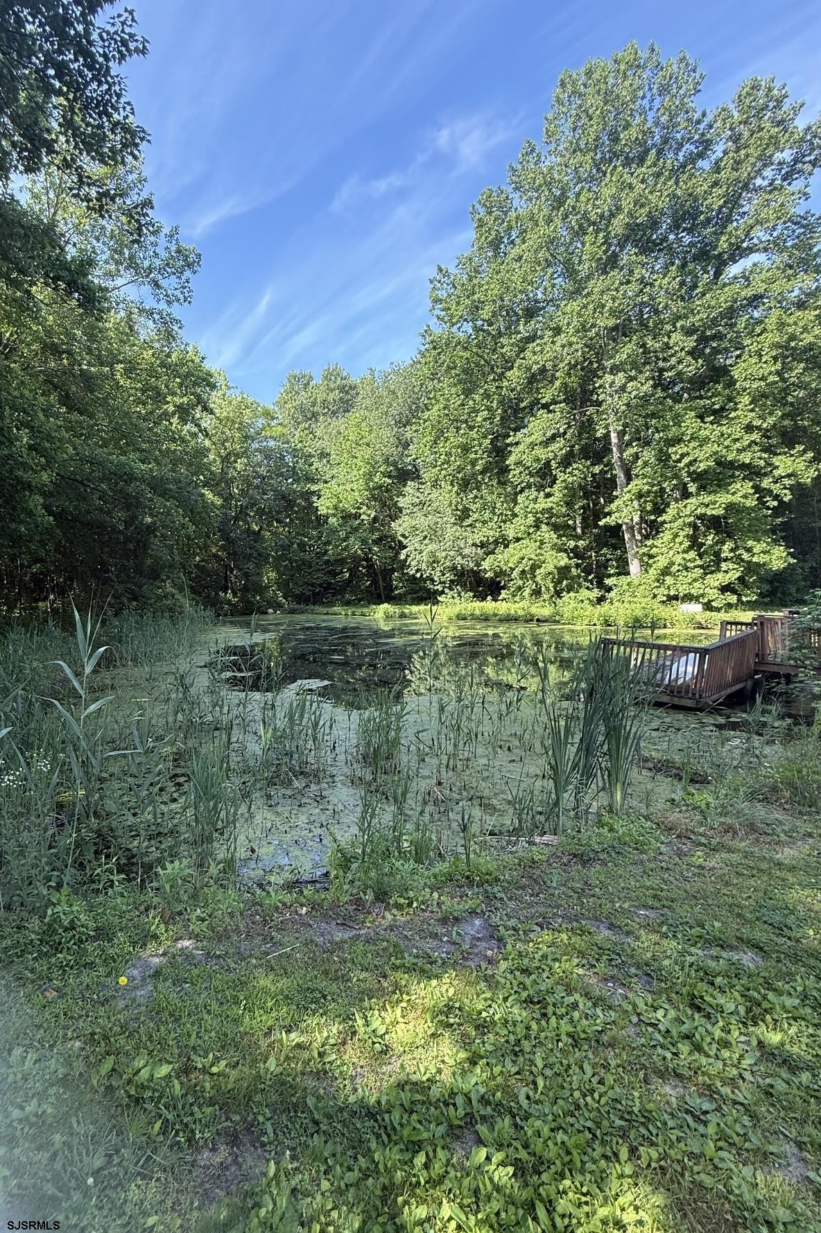 358 Buckhorn Road Bridgeton, NJ 08302 - Photo 8 of 45