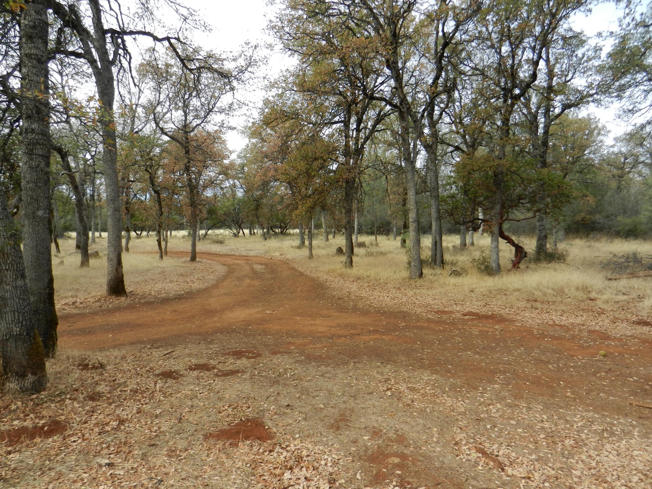 5435 Wilson Hill Road Manton, CA 96059 - Photo 10 of 21 DSCN2624