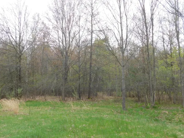 $149,000 | 14540 Schroeder Road, St. Charles, MI 48655