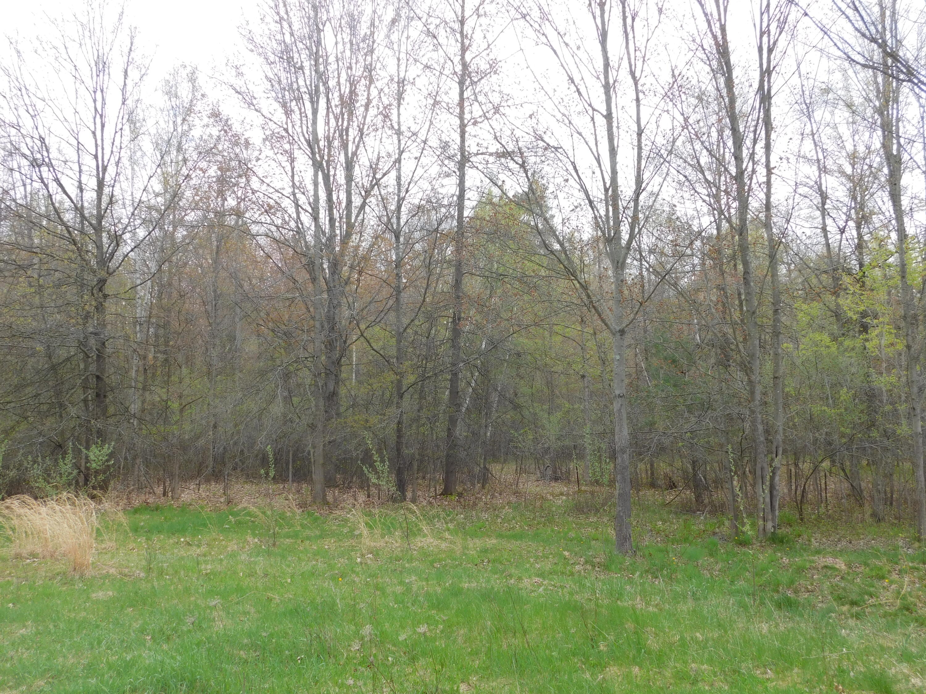 14540 Schroeder Road St. Charles, MI 48655 - Photo 25 of 45 DSCN8650