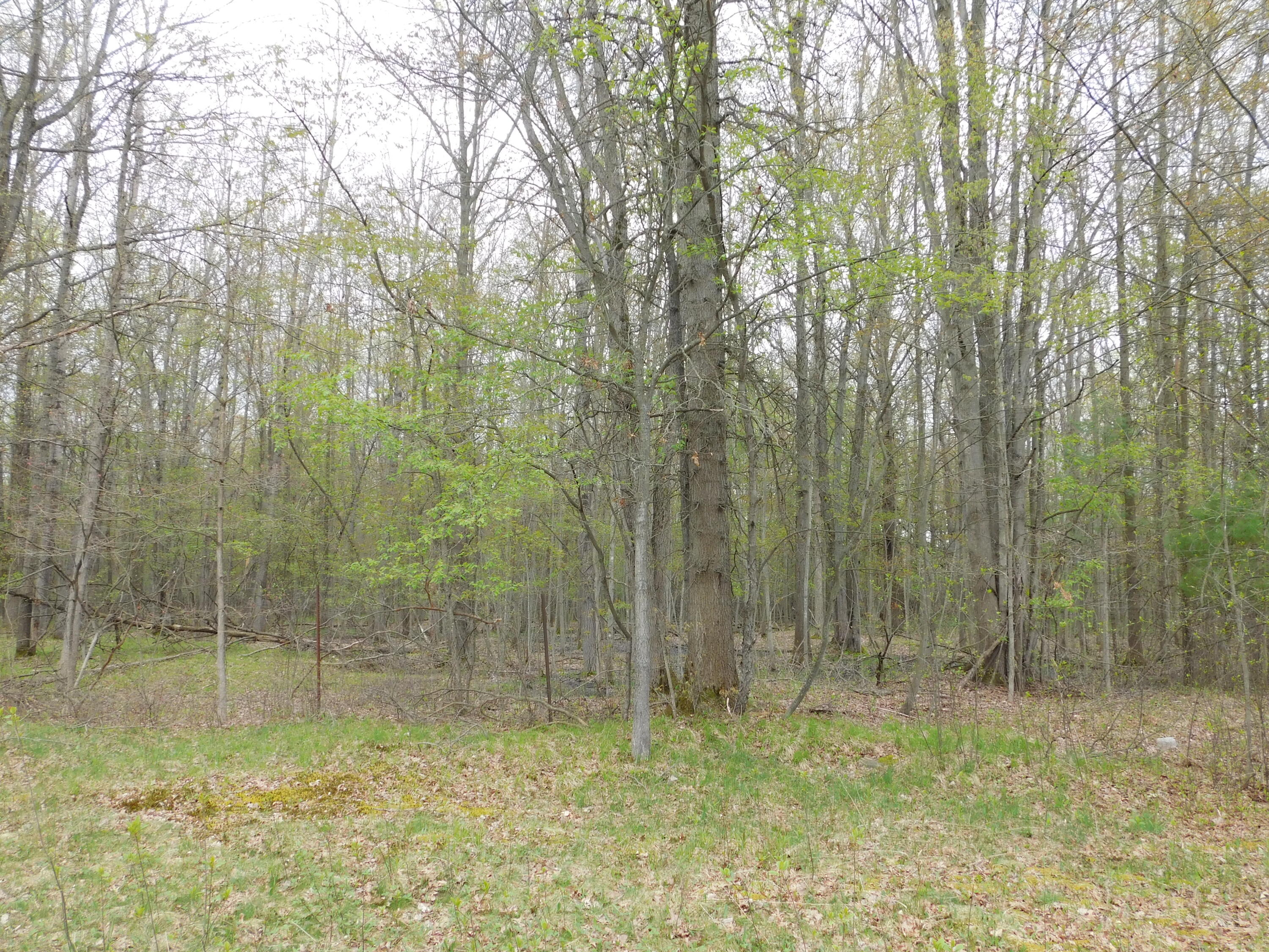 14540 Schroeder Road St. Charles, MI 48655 - Photo 27 of 45 DSCN8653