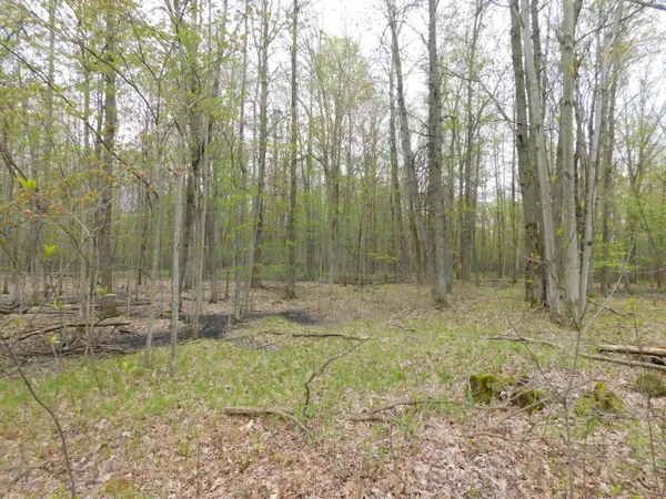$149,000 | 14540 Schroeder Road, St. Charles, MI 48655