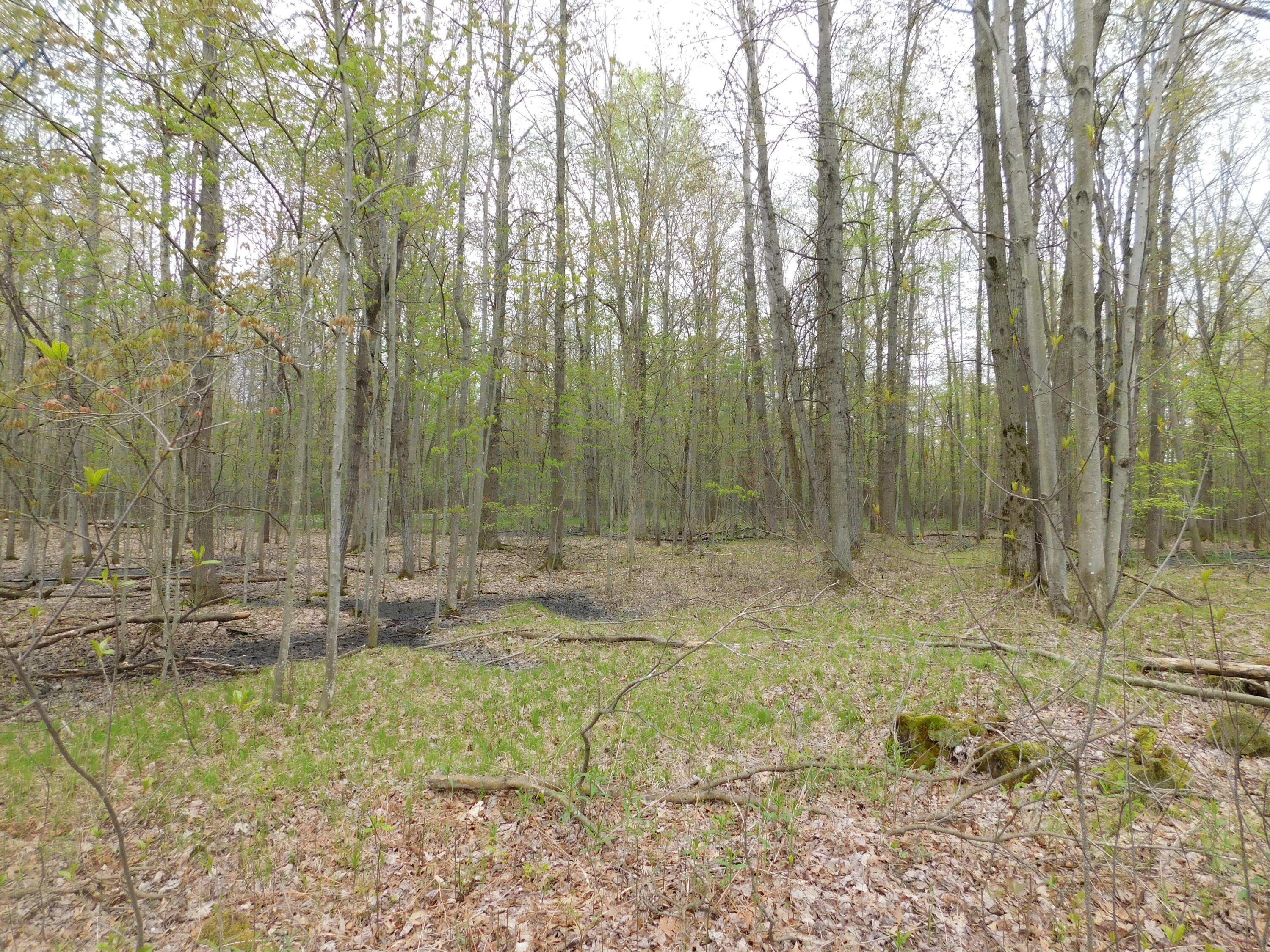 14540 Schroeder Road St. Charles, MI 48655 - Photo 31 of 45 DSCN8658