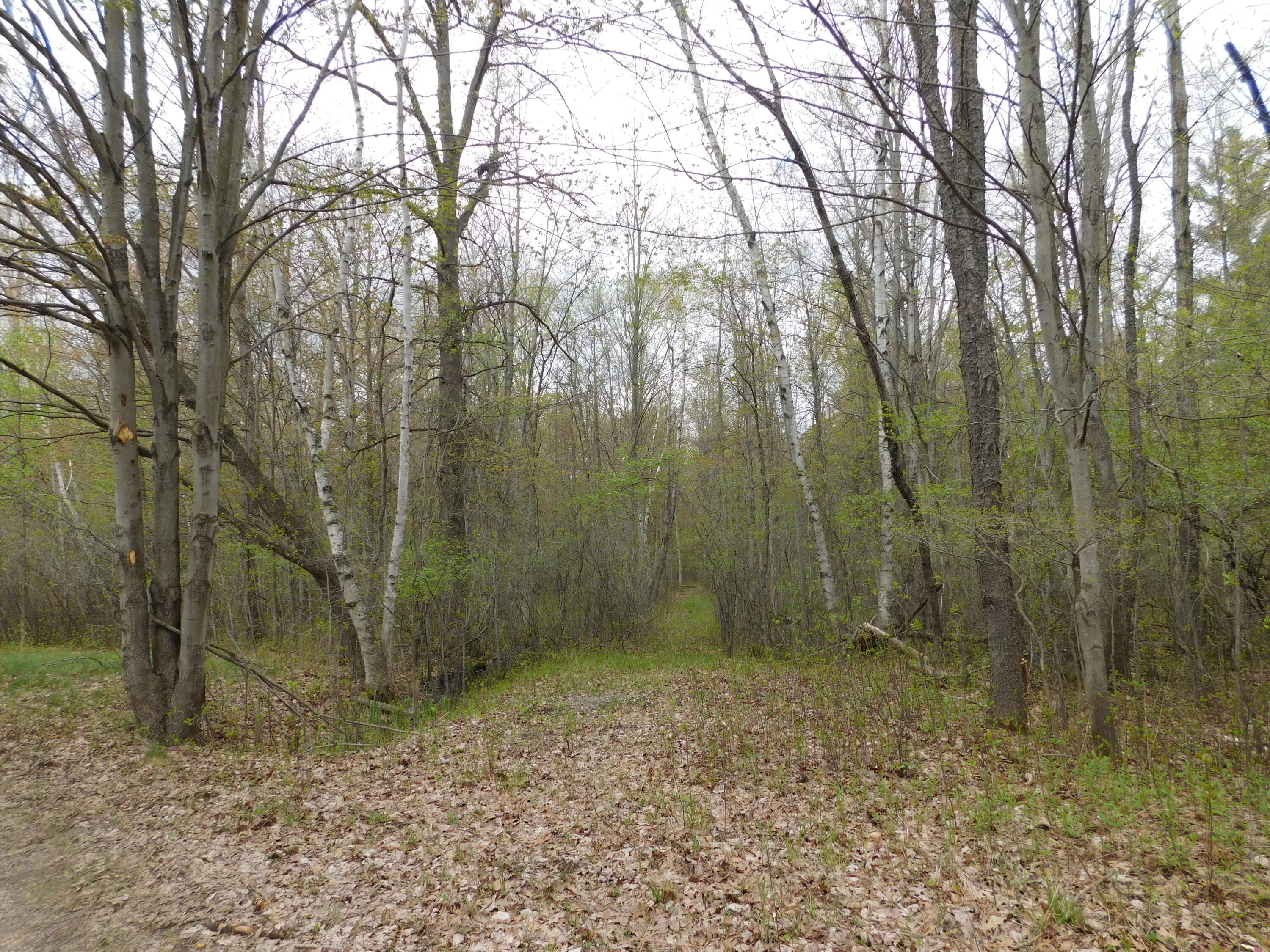 14540 Schroeder Road St. Charles, MI 48655 - Photo 39 of 45 DSCN8669
