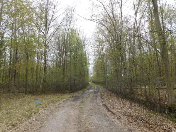 $149,000 | 14540 Schroeder Road, St. Charles, MI 48655