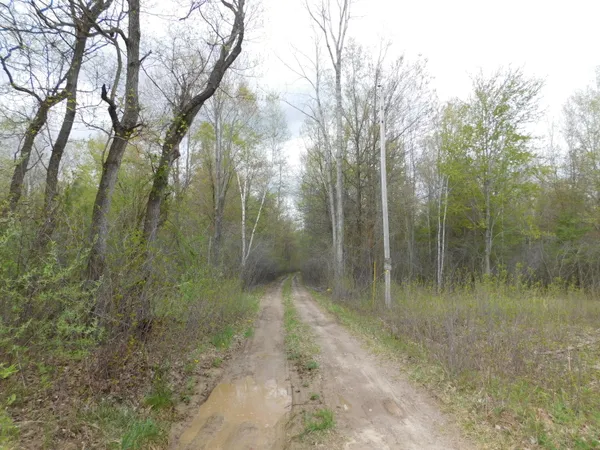 $149,000 | 14540 Schroeder Road, St. Charles, MI 48655