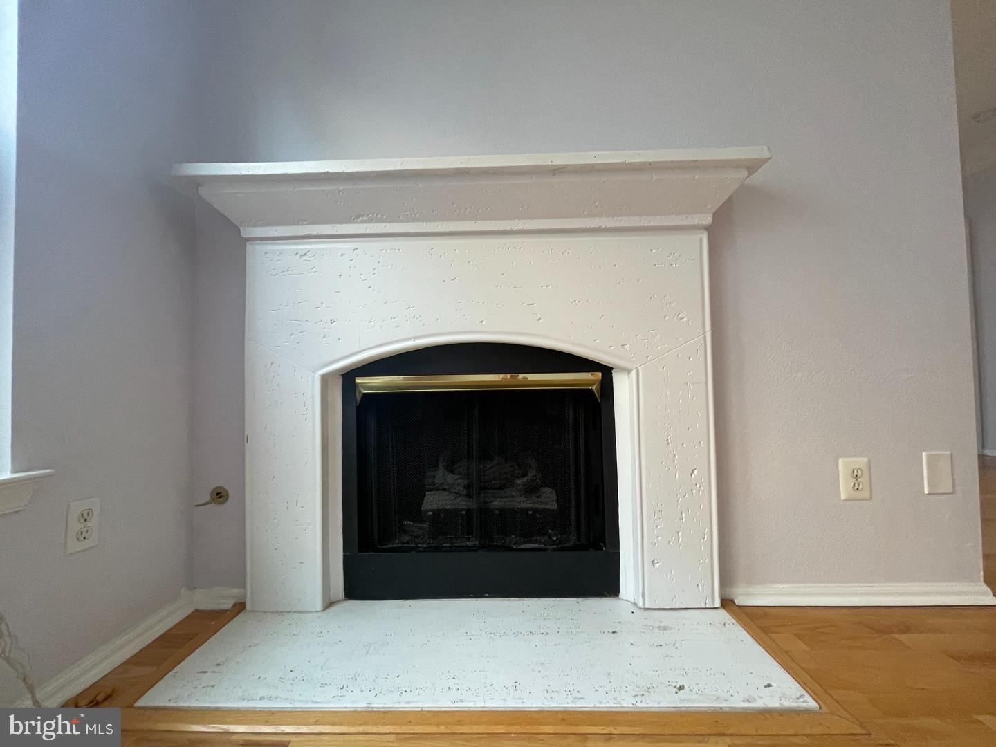 1530 Spring Gate Dr., Unit 9304 McLean, VA 22102 - Photo 23 of 72 Fireplace