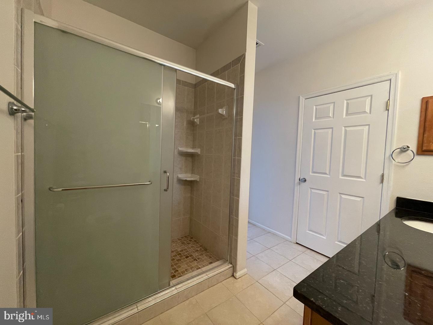 1530 Spring Gate Dr., Unit 9304 McLean, VA 22102 - Photo 49 of 72 Primary bathroom with Shower