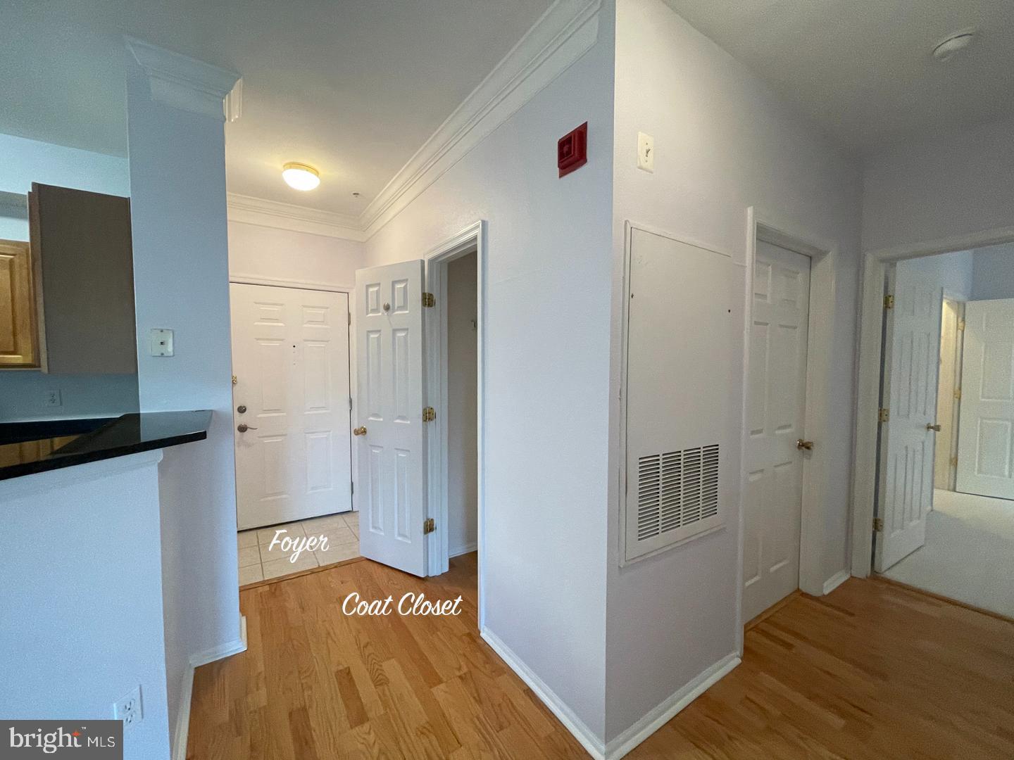 1530 Spring Gate Dr., Unit 9304 McLean, VA 22102 - Photo 8 of 72 Entrance, Coat Closet