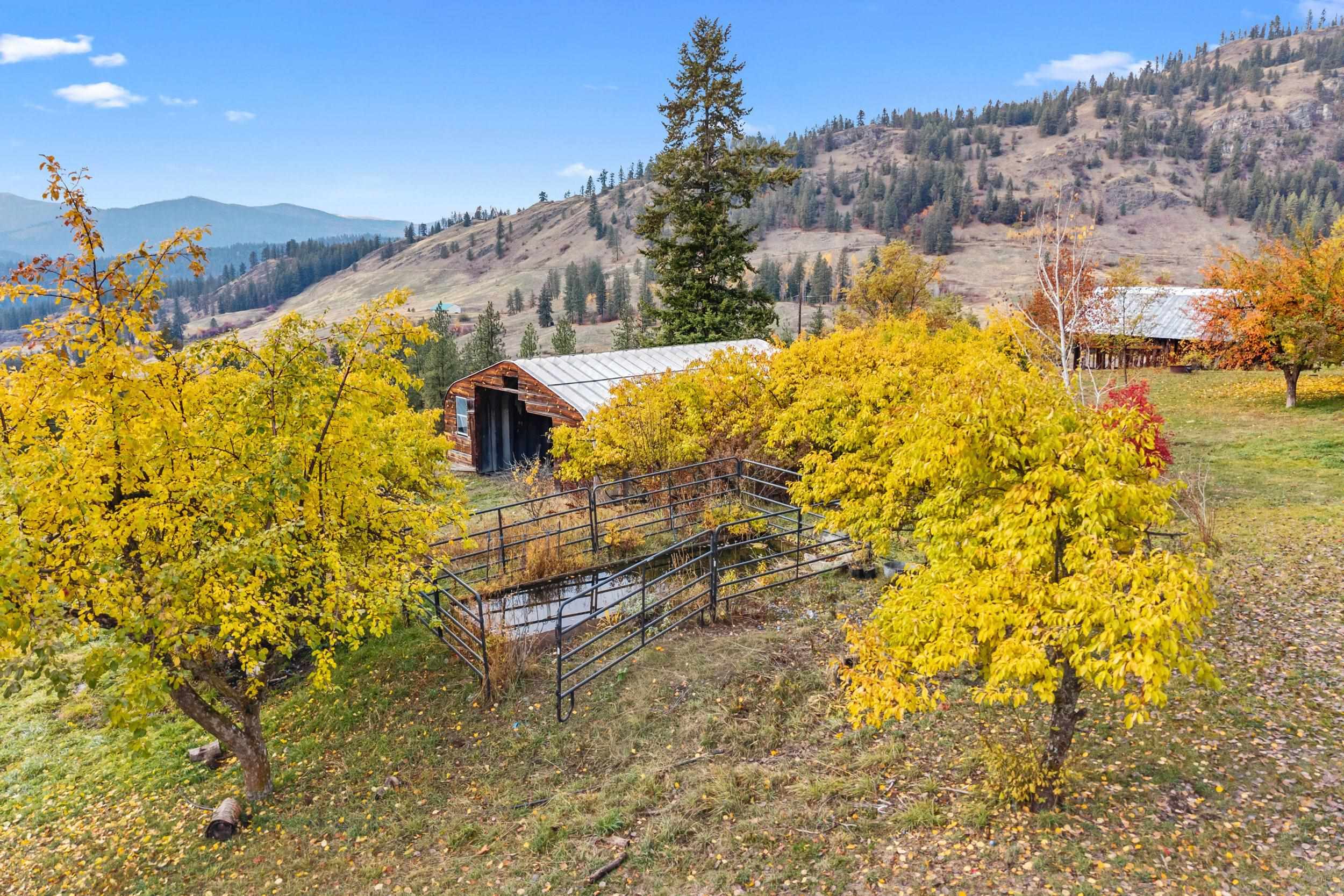 3115 Beardslee Road Kettle Falls, WA 99141 - Photo 29 of 38