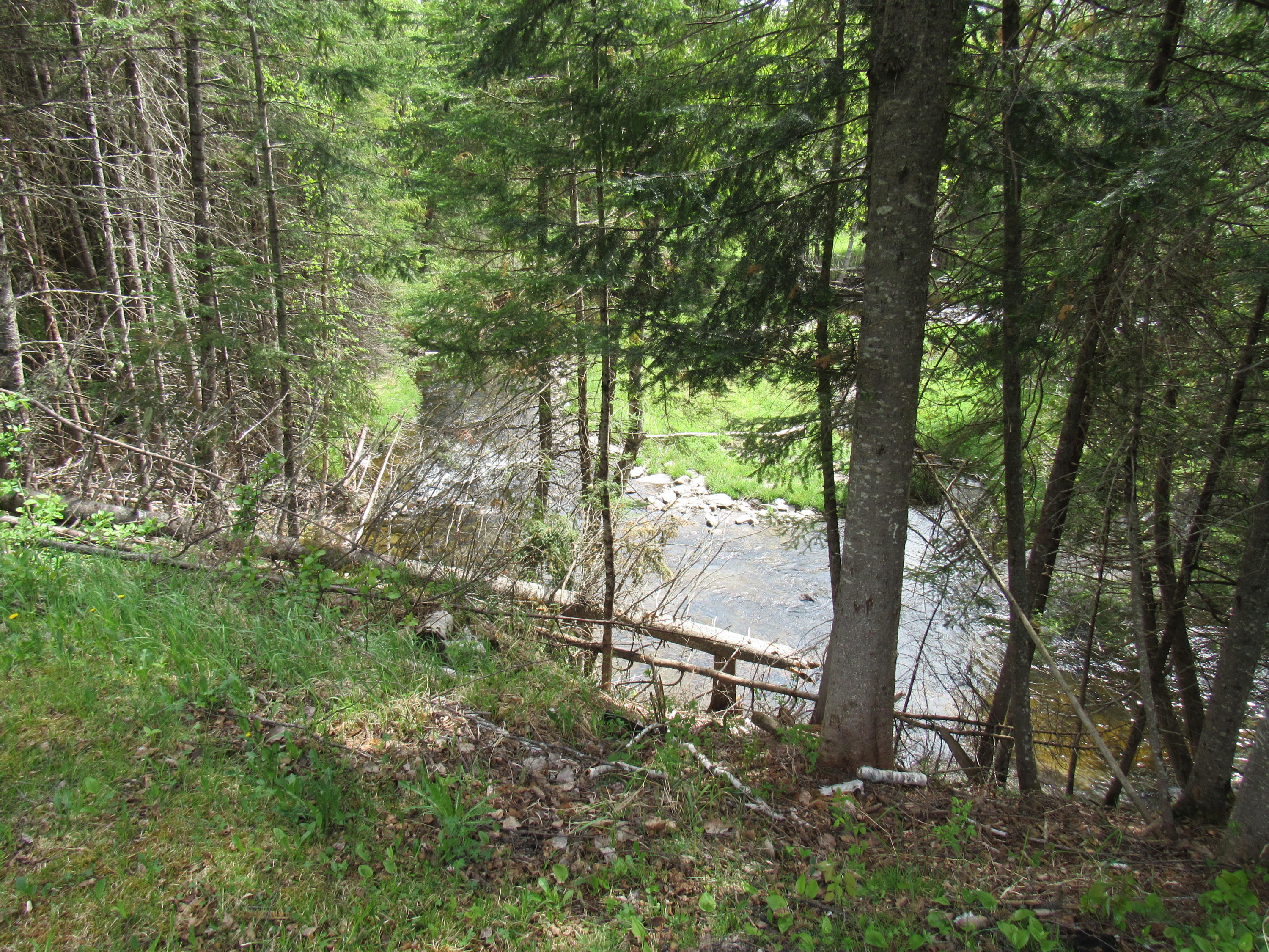 20 Moose River Road Jackman, ME 04945 - Photo 6 of 22 IMG_4854