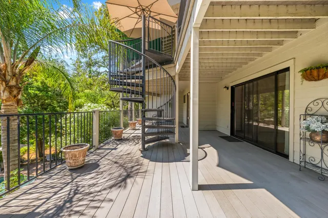 a view of a forest with trees