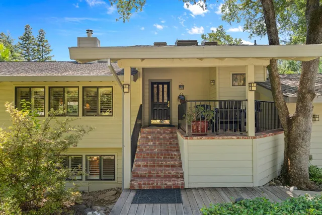 a view of a yard with plants and trees