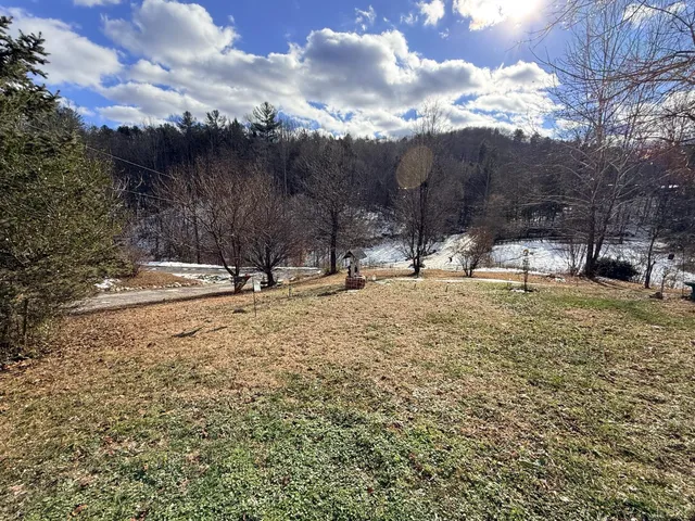 a view of outdoor space with green space