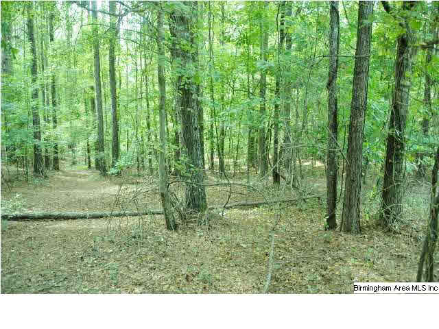 0 Highway 36, Unit 11 AC Chelsea, AL 35043 - Photo 1 of 3