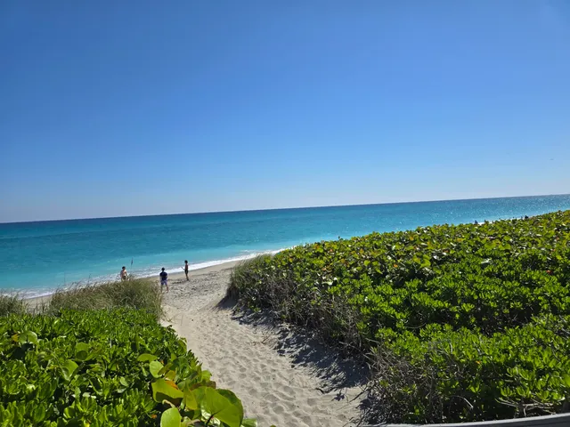 a view of a lake with a yard
