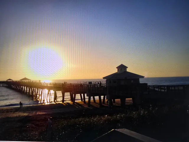 a view of a large body of water with a large tree in the background