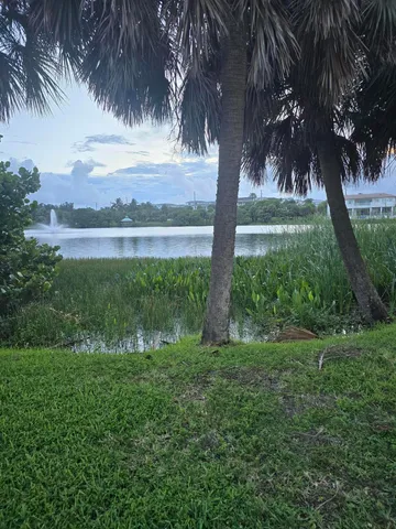 a view of a yard next to a yard