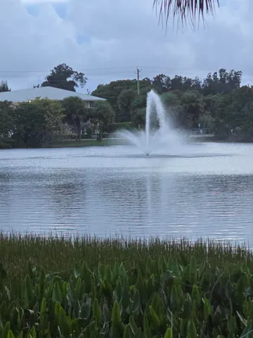 a view of a park with palm trees