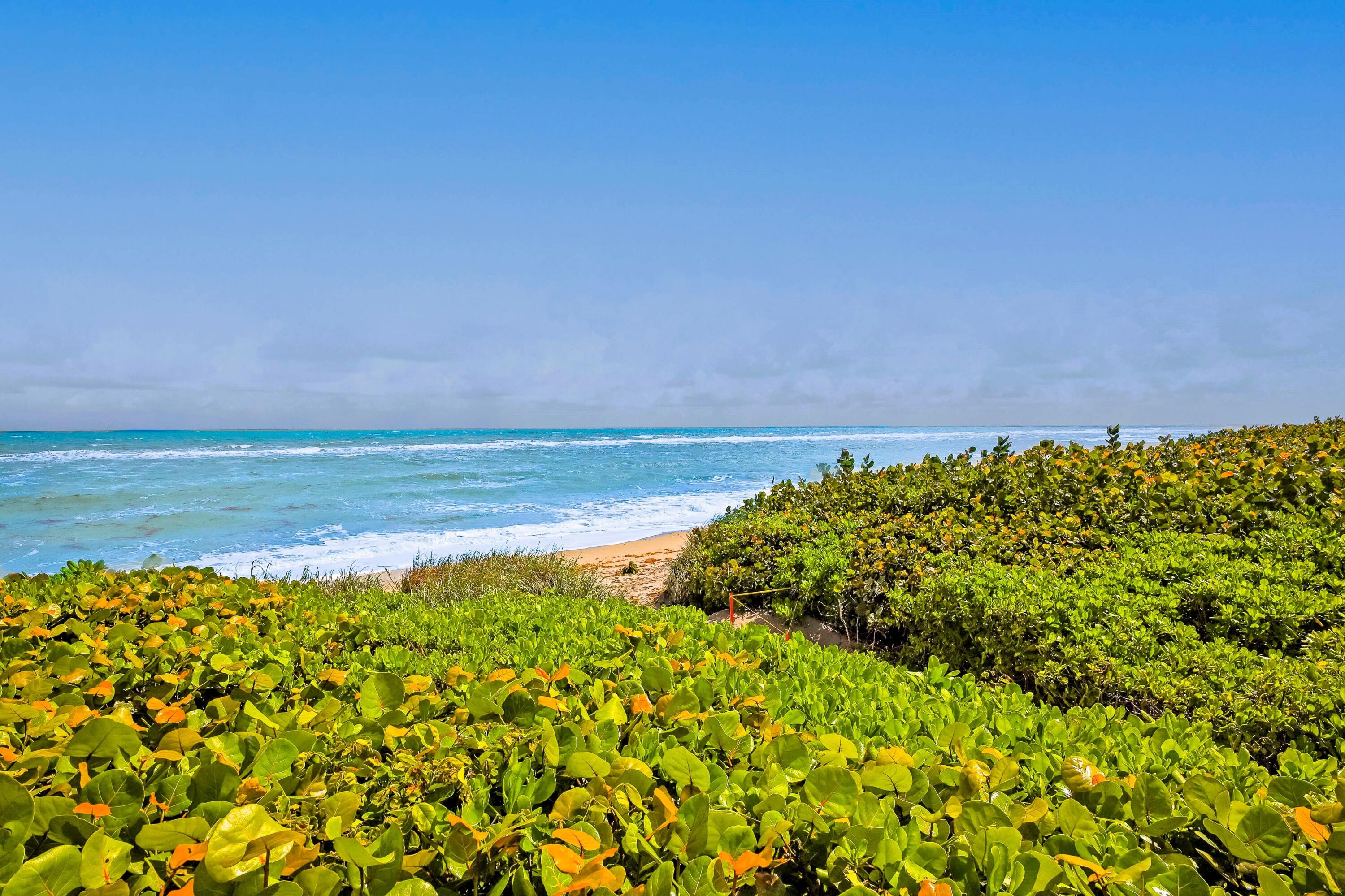 420 Celestial Way, Unit 204 Juno Beach, FL 33408 - Photo 4 of 35 a view of a large body of water with a large tree in the background