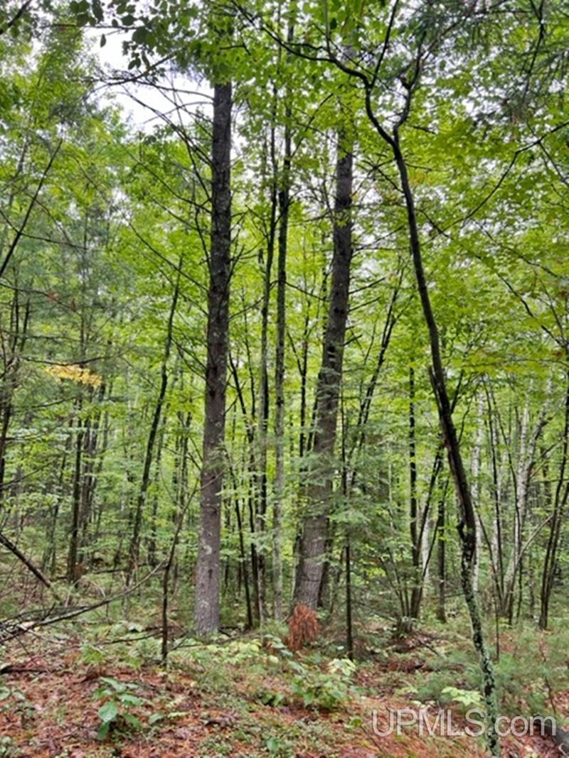 T-wi Wi 54156 Road Pembine, WI 54156 - Photo 15 of 20