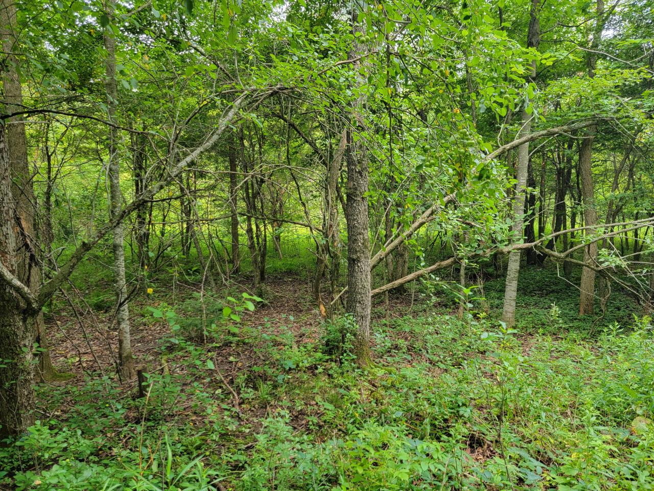 W9957 Sunnyside Road Antigo, WI 54409 - Photo 29 of 37 Gallery Image 29