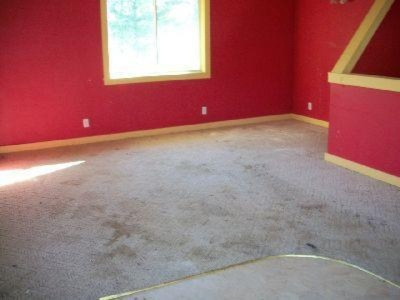 12599 Bidelman Road Three Rivers, MI 49093 - Photo 5 of 9 Additional Photo