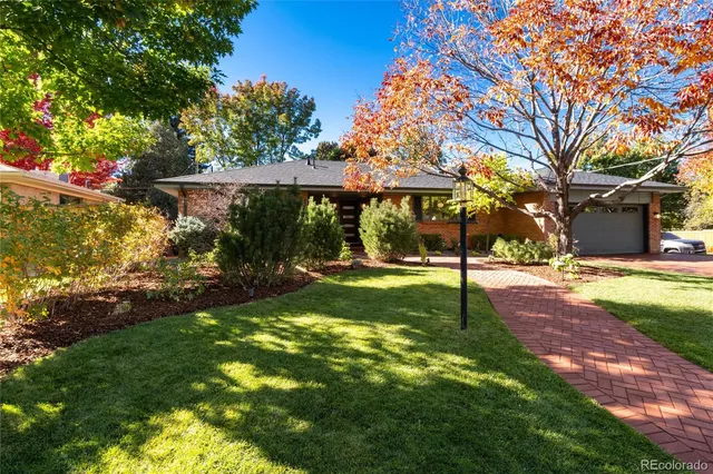 a view of a yard with plants and large trees