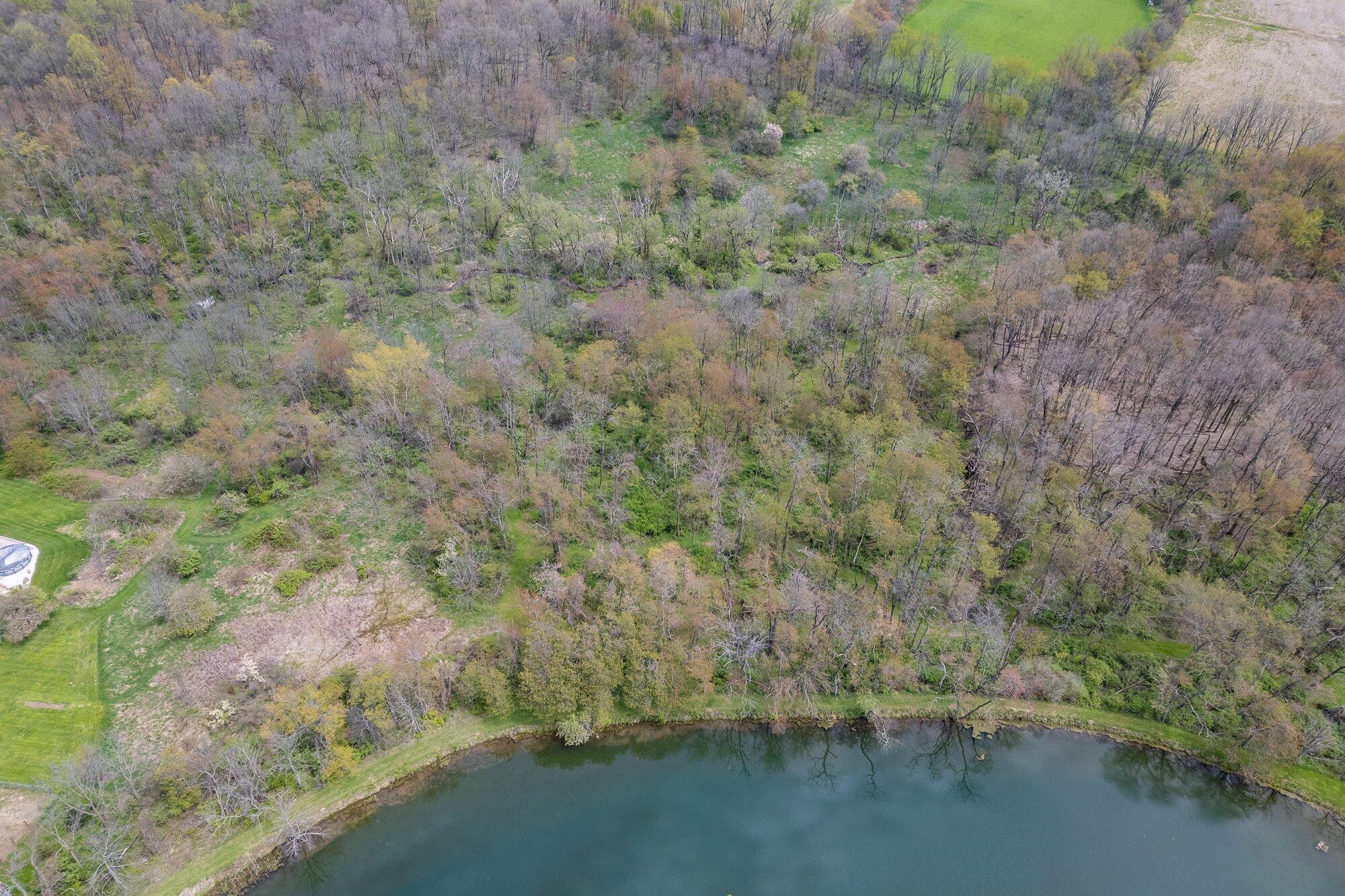 1225 Pleasant Valley Road Mansfield, OH 44903 - Photo 89 of 96 17-aer-wooded-area