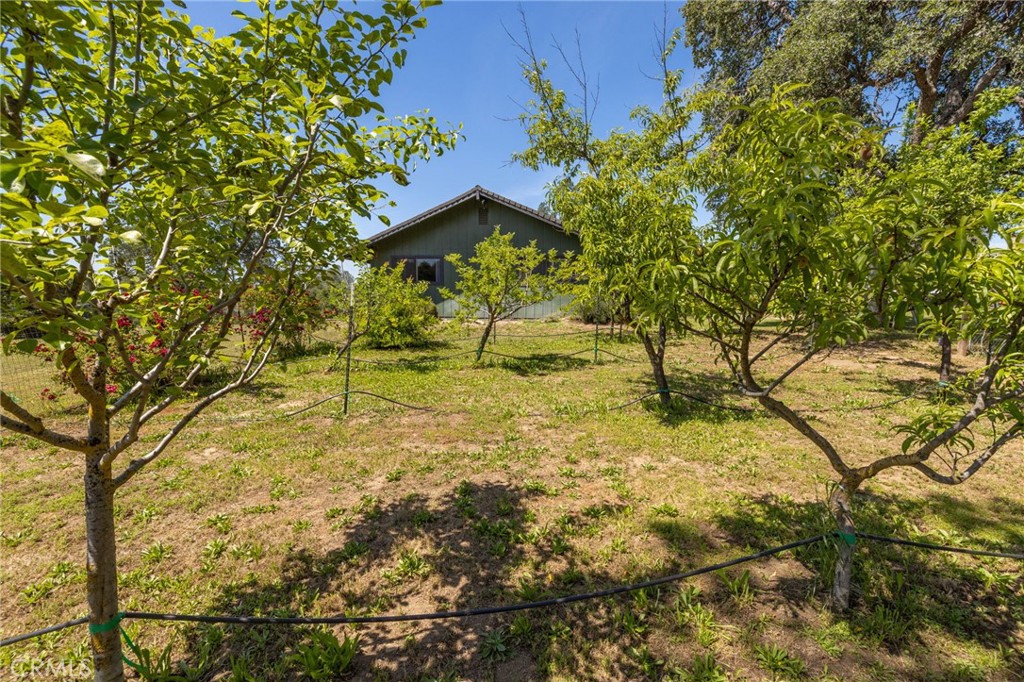 31477 Erie Road Coarsegold, CA 93614 - Photo 27 of 60