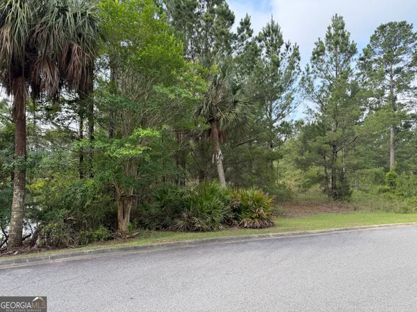 $24,000 | 1.12 Big Horse Drive, Waynesville, GA 31566