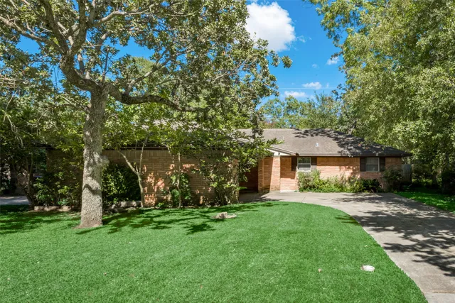 a view of a yard with plants and trees