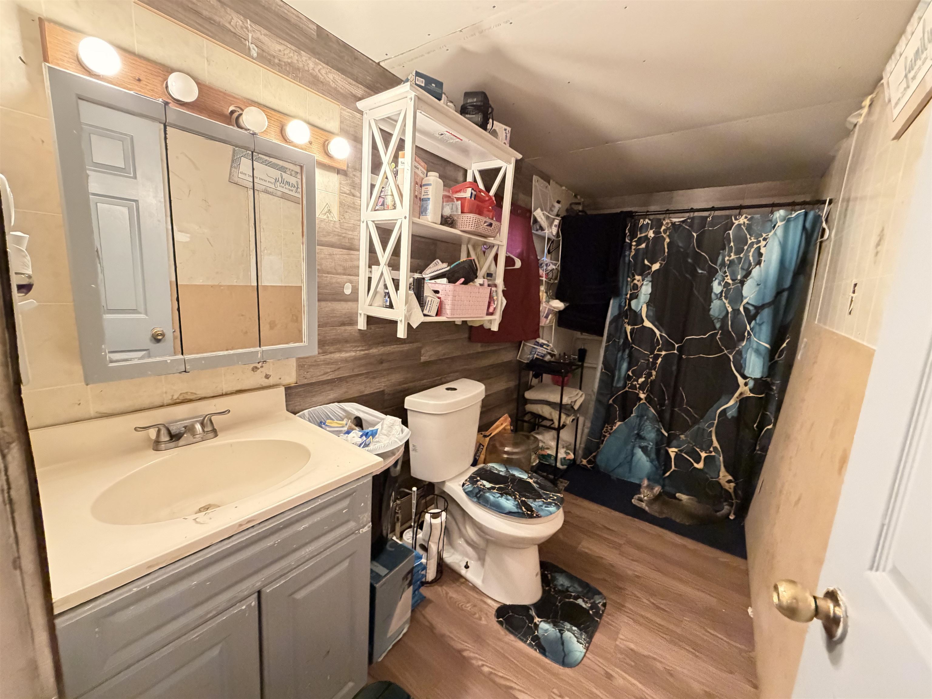 2685 South Whitney Beach Road Beaverton, MI 48612 - Photo 4 of 16