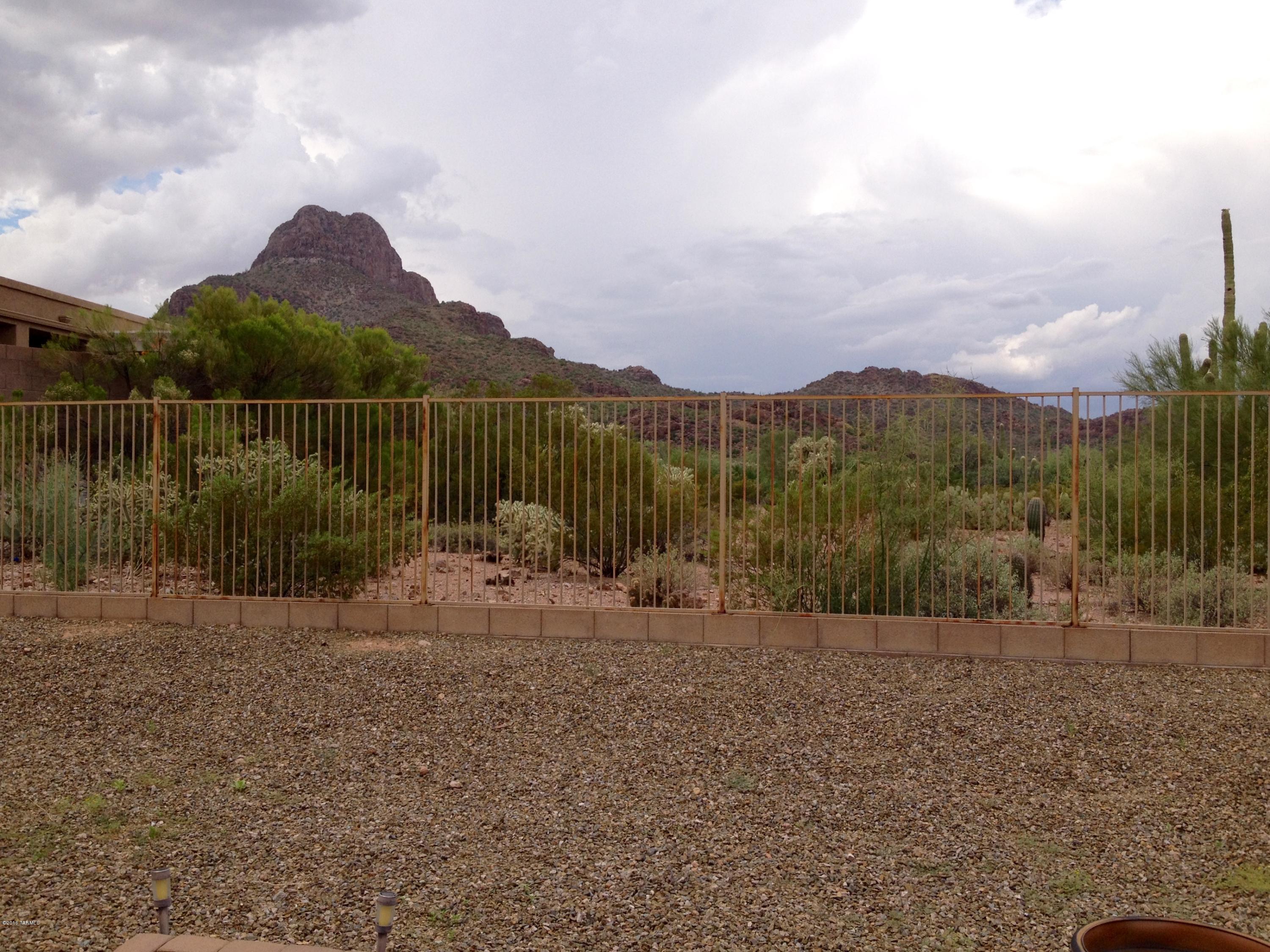 7931 North Iron Ridge Drive Tucson, AZ 85743 - Photo 20 of 21 a view of a lake with a mountain in the background