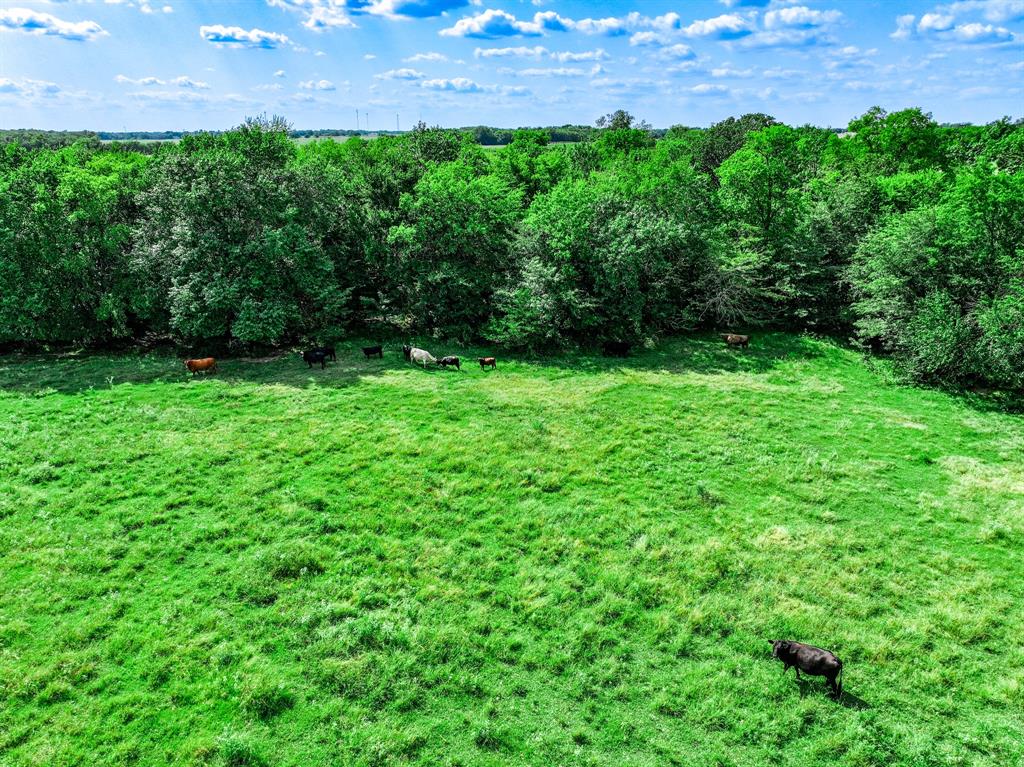 7801 West Interstate Highway Cumby, TX 75433 - Photo 19 of 31 a view of yard with green space