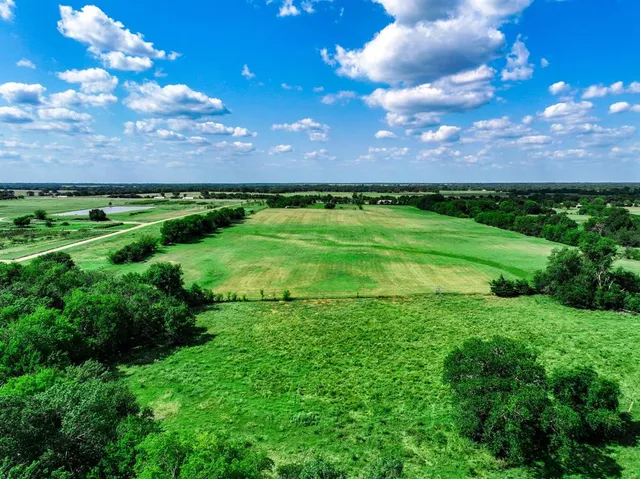 a view of a big yard with plants and a bench