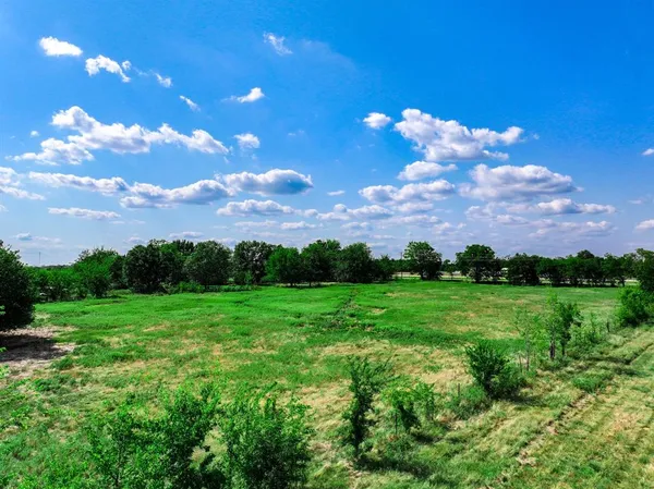 a view of a big yard with lots of green space
