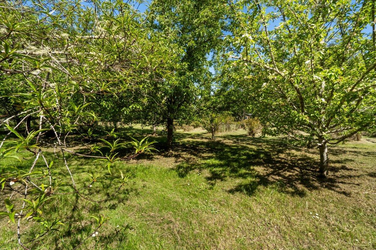 1960 Freshwater Road Eureka, CA 95503 - Photo 48 of 55
