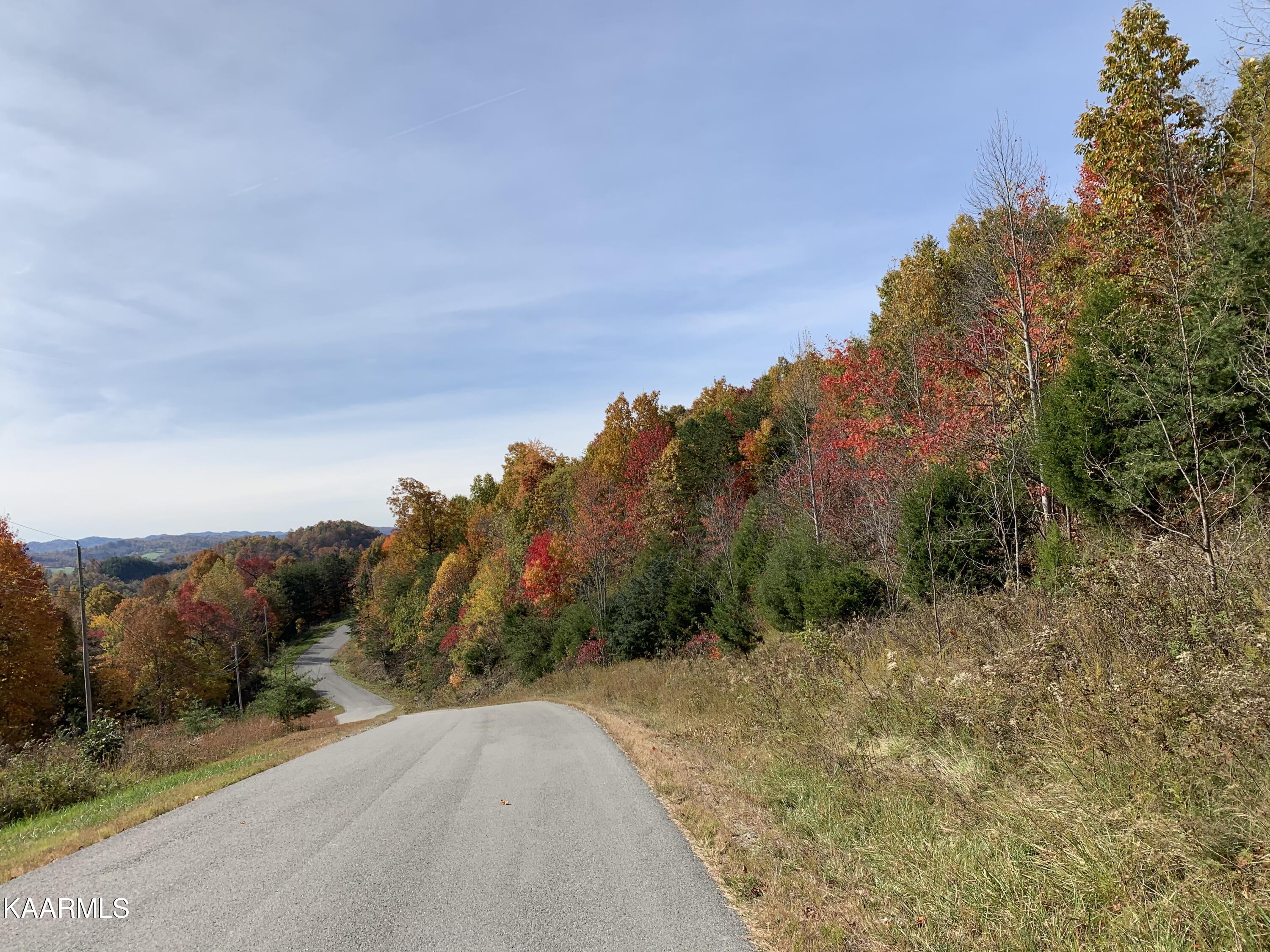 866 Whistle Valley Road New Tazewell, TN 37825 - Photo 2 of 15 A6D1DED5-EBDC-40E0-BDF3-8694BA889E1D