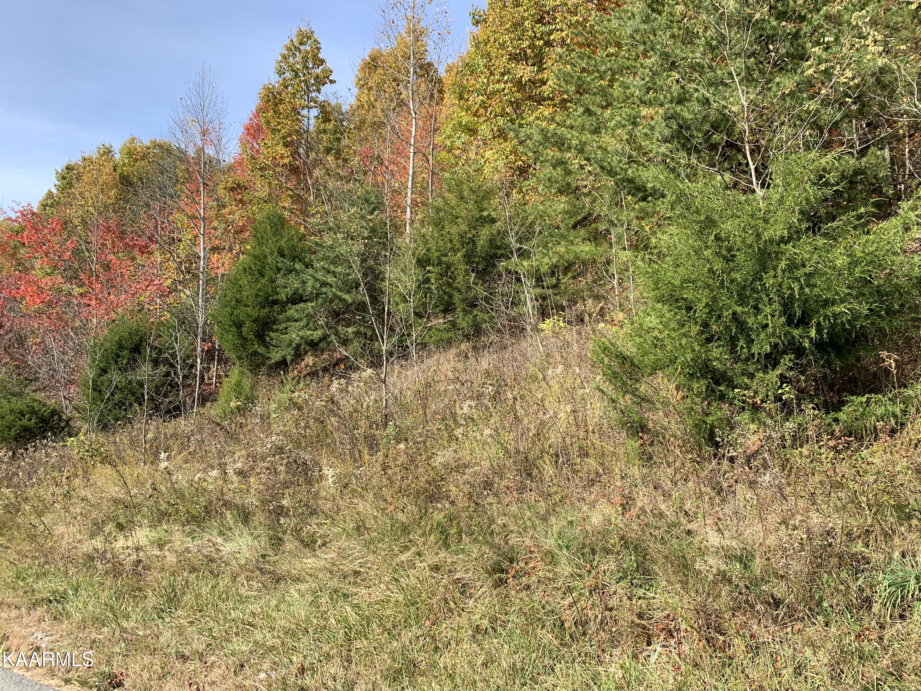 866 Whistle Valley Road New Tazewell, TN 37825 - Photo 4 of 15 81079D6F-16AE-4B87-A3FA-024A23CA9F26