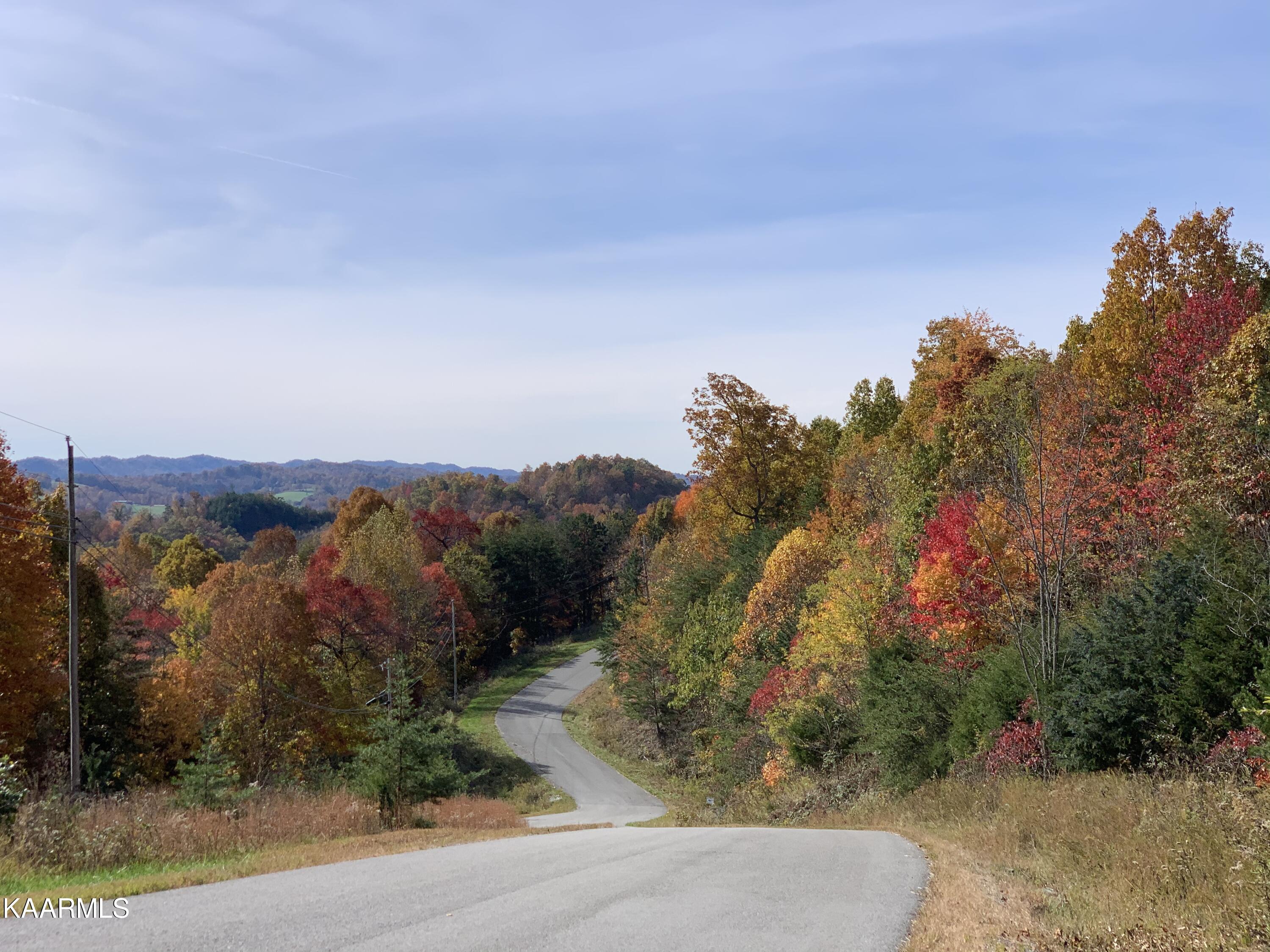 866 Whistle Valley Road New Tazewell, TN 37825 - Photo 5 of 15 C7D27C92-A0FF-485A-9EE8-A84E4DC0A19B