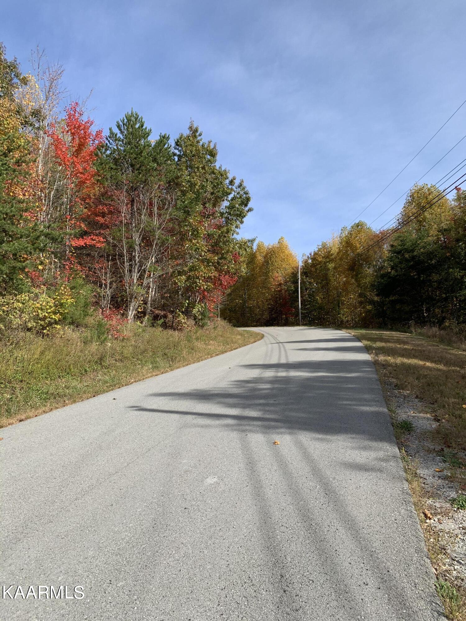 866 Whistle Valley Road New Tazewell, TN 37825 - Photo 6 of 15 CCE01174-E6DC-4EDC-9D44-0B6919EB1E7A