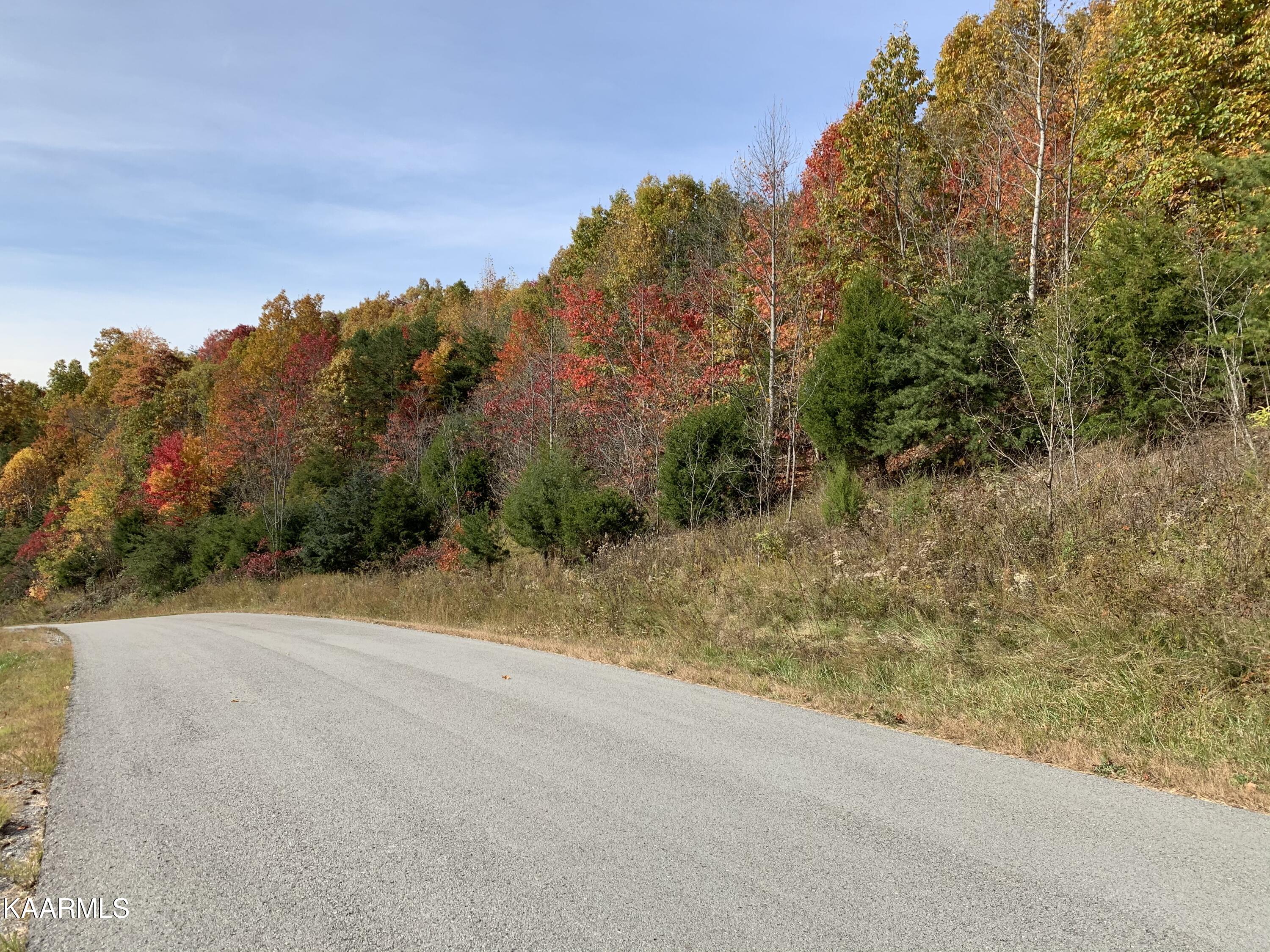 866 Whistle Valley Road New Tazewell, TN 37825 - Photo 7 of 15 47FA3BB1-E325-4EDC-A8AC-C3149EB0A999
